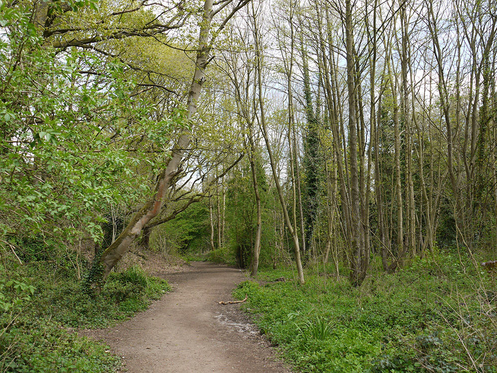 Sheffield's Amazing City Parks: An Expansive Guide